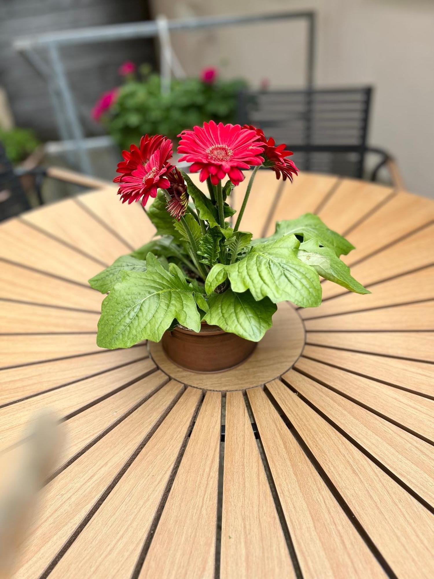 Maisonette Sophie Mit Balkon Und Terrasse * Weikersheim